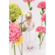 Φόρεμα Bambolino | Iokasti-1808