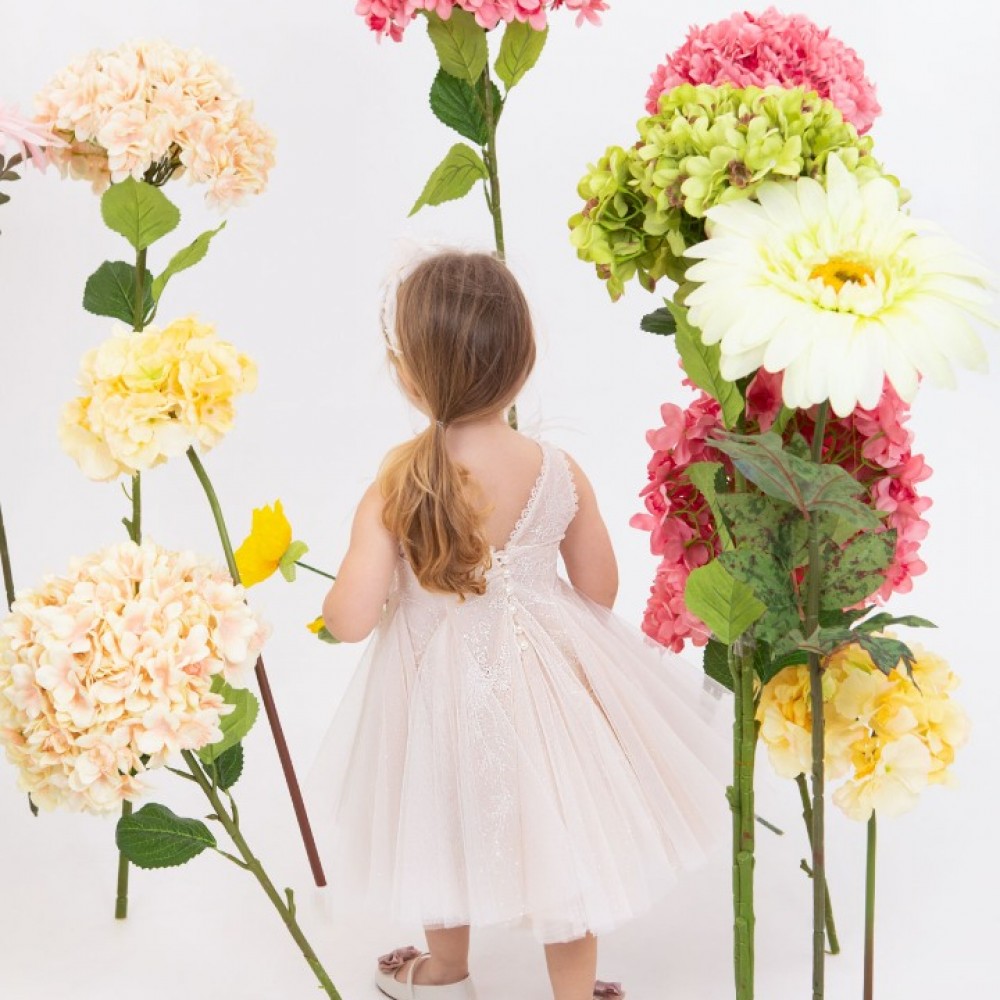 Φόρεμα Bambolino |Venetia-1832