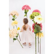 Φόρεμα Bambolino |Venetia-1832