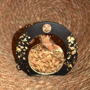 Γούρι ρόδι χρυσό plexiglass σε ξύλο μαύρο μεγάλο φωτιζόμενο